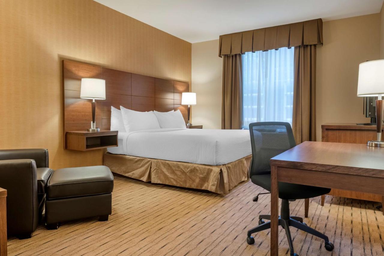 Best Western Plus, Bathurst Hotel&Suites Exterior foto