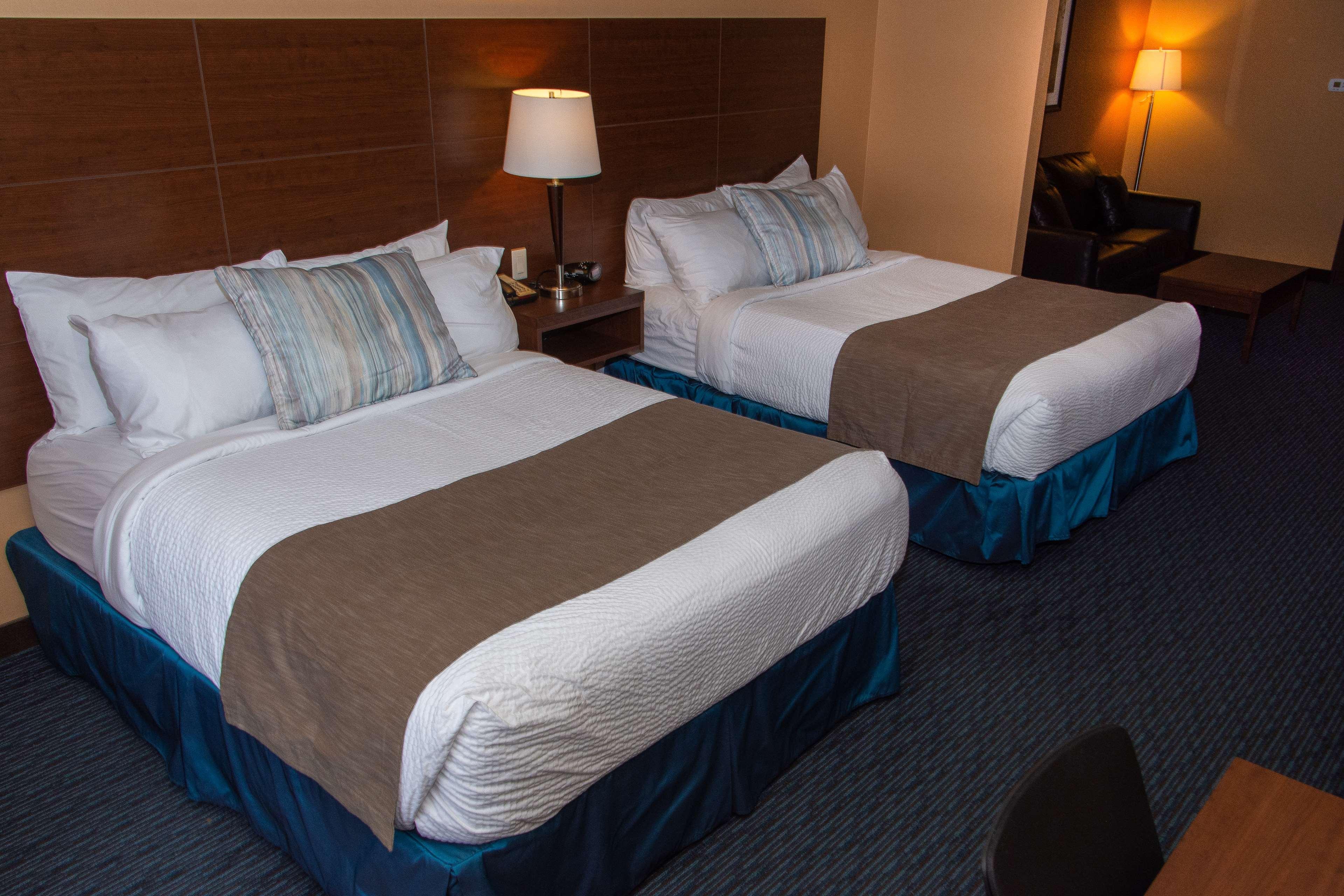 Best Western Plus, Bathurst Hotel&Suites Exterior foto